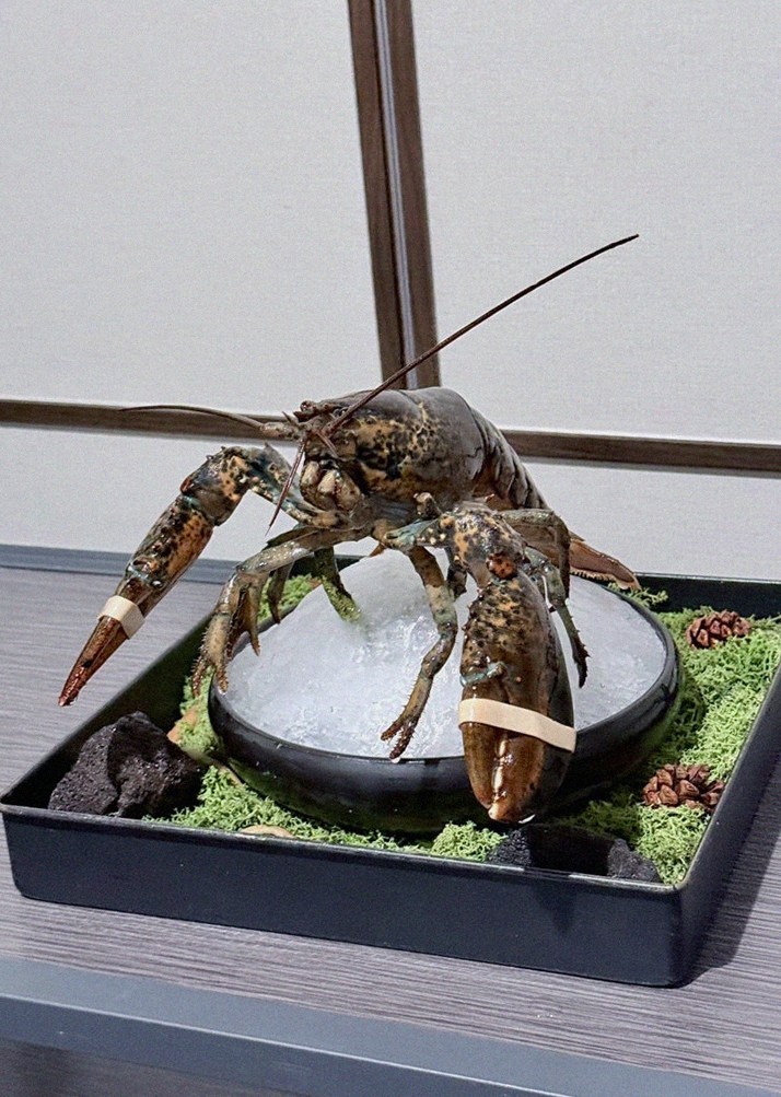 대보정 시청역점 · 광화문 맛집 한우오마카세 · 시그니처 한우 쇼잉 — 진열함에 담긴 마블링 한우와 캐비아