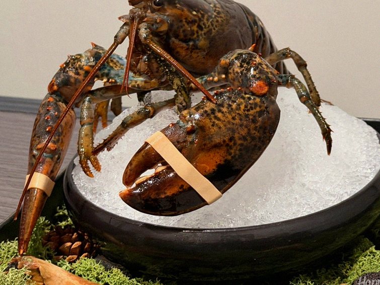 대보정 시청역점 · 서울 한우오마카세 한우오마카세 · 시그니처 한우 쇼잉 — 진열함에 담긴 마블링 한우와 캐비아
