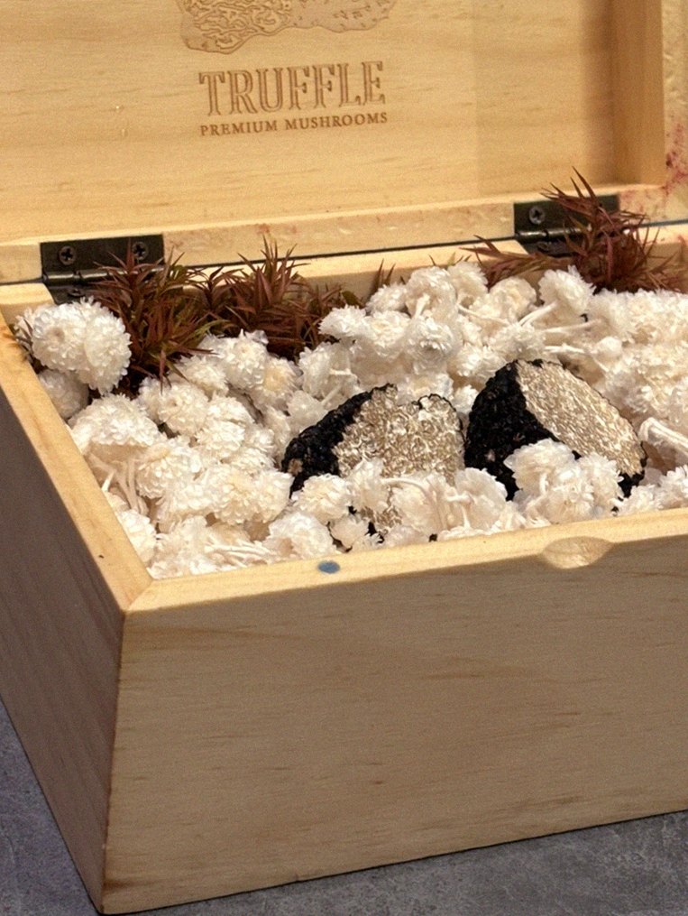 GOWOOGA Gangnam·Yeoksam · the signature Hanwoo showing — marbled beef cuts and caviar presented in a display chest