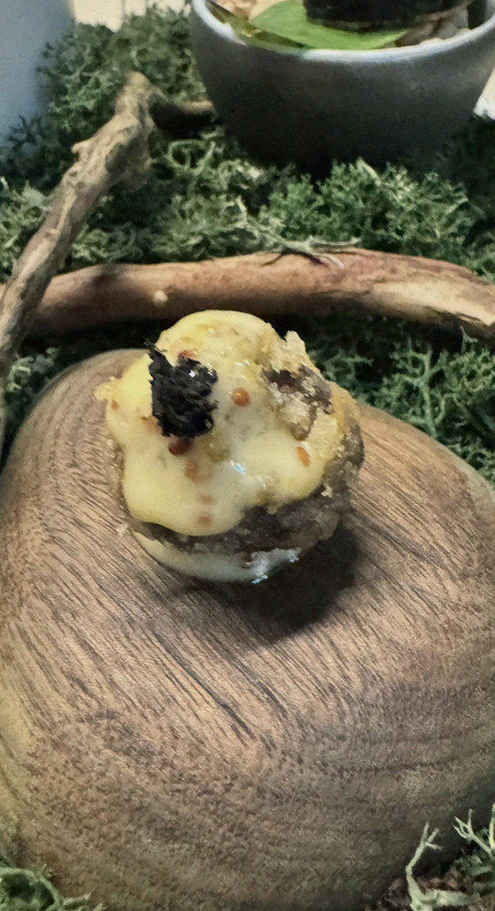 WOOARA Gwanghwamun · dessert to close the omakase