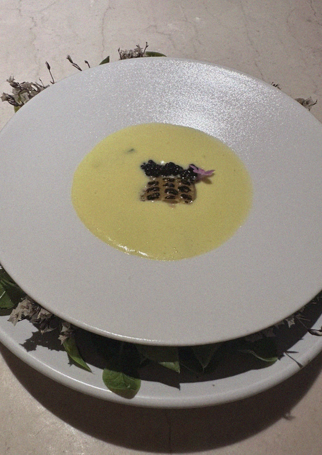 WOOARA Gwanghwamun · a plated course of Hanwoo beef