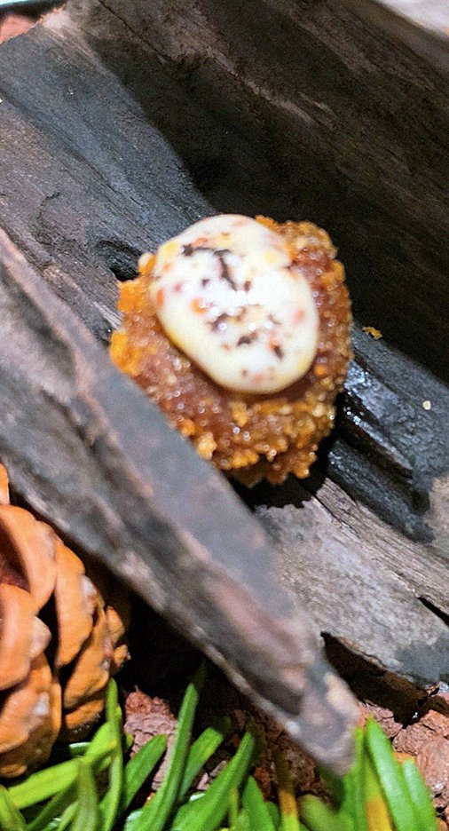 WOOHANA Jonggak · fresh Hanwoo beef tartare (yukhoe)
