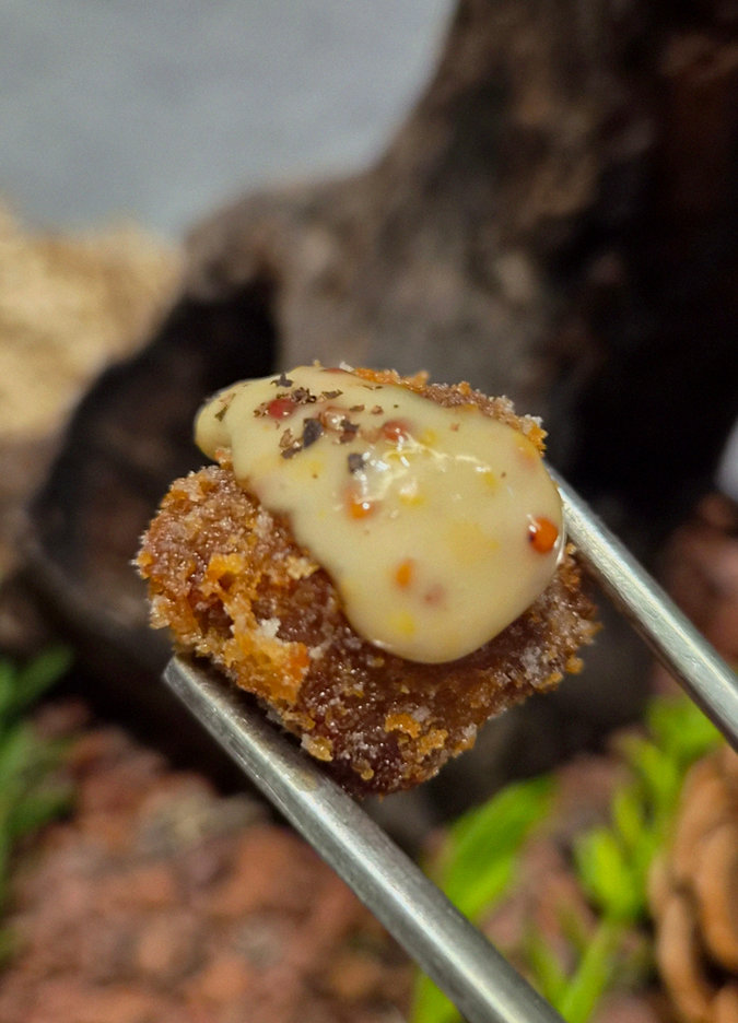 WOOHANA Jonggak · fresh Hanwoo beef tartare (yukhoe)