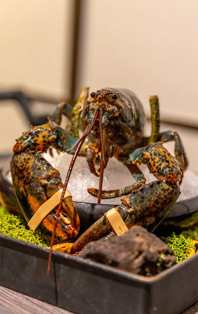 DAEBOJUNG Yeouido · 招牌韩牛展示 — 木盒中呈现的雪花韩牛与鱼子酱