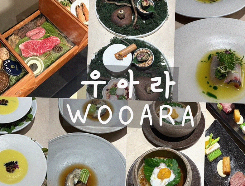 우아라 광화문점 · 우마카세 맛집 · 신선한 한우 육회
