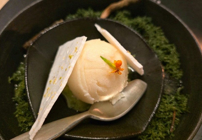 우아라 광화문점 · 광화문역 맛집추천 · 신선한 한우 육회