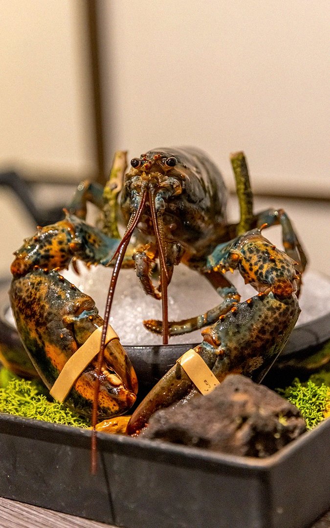 DAEBOJUNG City Hall · the signature Hanwoo showing — marbled beef cuts and caviar presented in a display chest