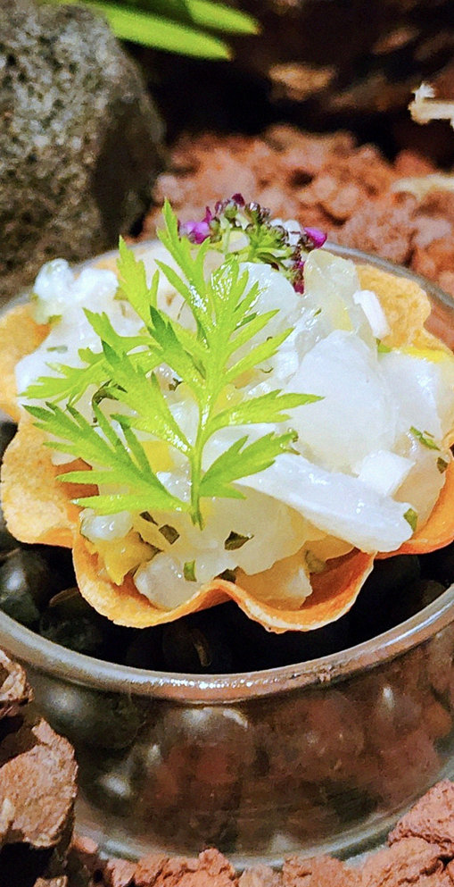 WOOHANA Jonggak · fresh Hanwoo beef tartare (yukhoe)